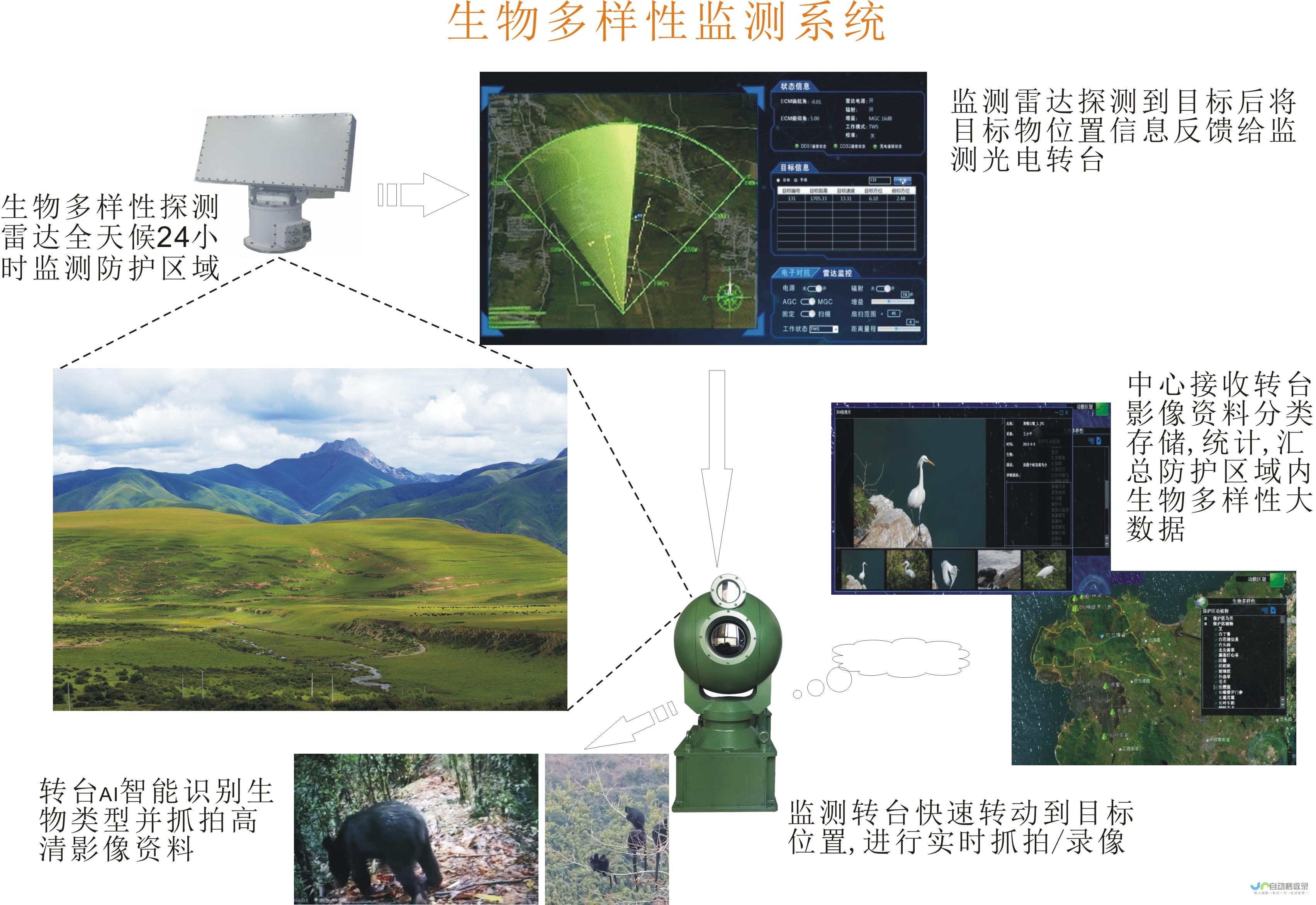 全方位视频应用开发指南：技术选